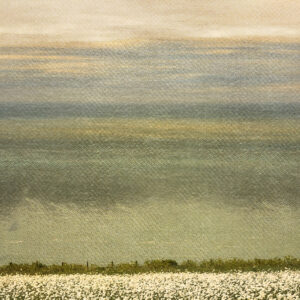6a678bb51f823-Dover-01.jpg *TEST STRIP*